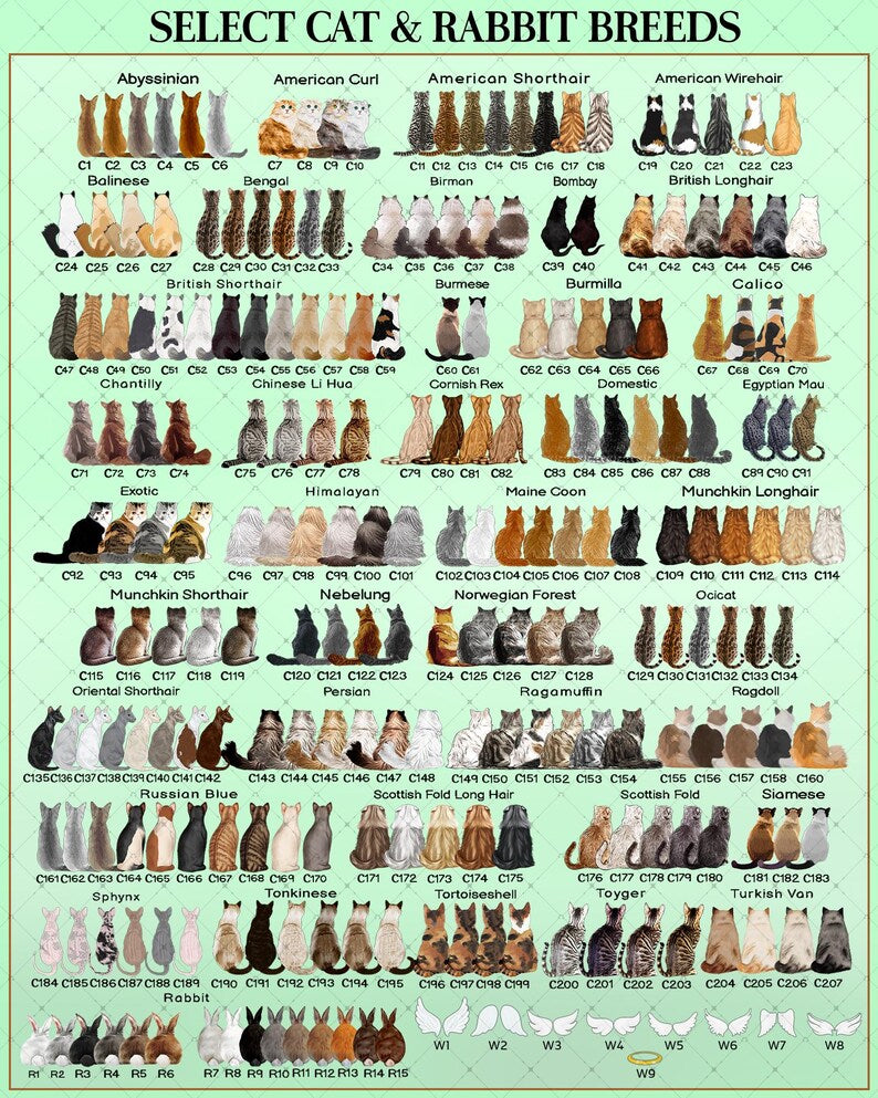 A chart titled SELECT CAT & RABBIT BREEDS displaying rows of illustrated cat and rabbit backs, each labeled with a code.