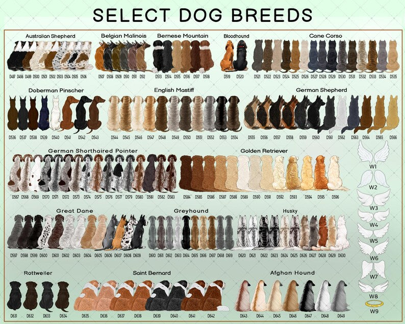 A digital chart titled SELECT DOG BREEDS displaying rows of illustrated dog silhouettes viewed from behind, categorized by breed names including Australian Shepherd, Doberman Pinscher, and Husky.