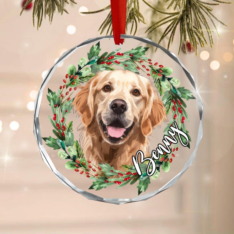 A circular clear acrylic ornament featuring a golden retriever portrait centered within a wreath of green pine needles and red berries. The name Benny is written in black cursive script on the right side of the wreath.