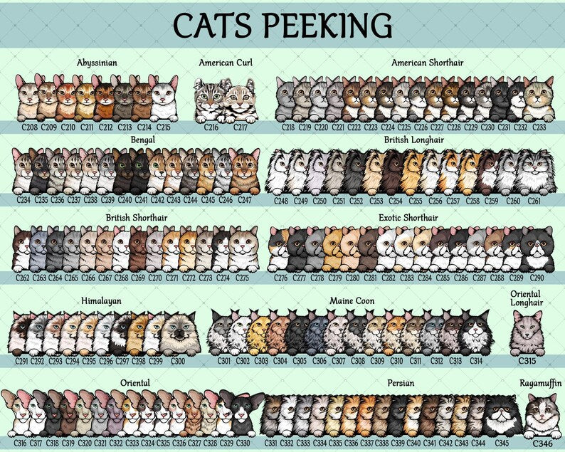 A detailed illustration featuring various cat breeds, including Abyssinian, American Curl, and Persian. Each breed is represented by multiple cat portraits, showcasing diverse colors and patterns.
