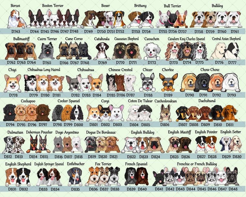 A chart featuring illustrations of various dog breeds, including Borzoi, Boston Terrier, Boxer, and Bulldog. Each dog is depicted in a cartoon style, with the breed name and a corresponding number beneath each image.