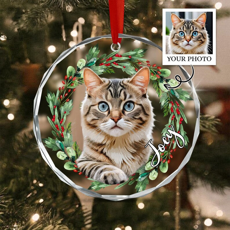 A round, clear acrylic Christmas ornament featuring a portrait of a brown tabby cat with blue eyes centered within a green wreath with red berries. The name Joey is written in white script, and a red ribbon hangs from the top.
