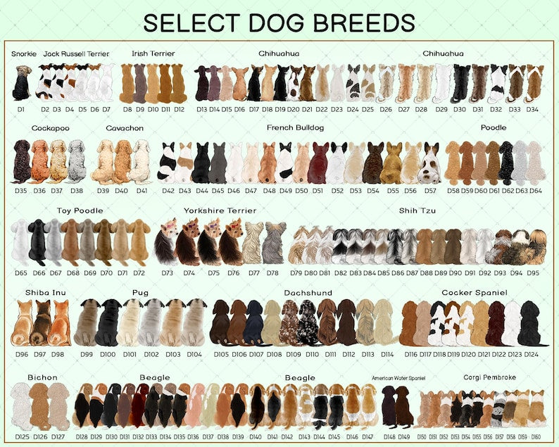 A digital chart titled SELECT DOG BREEDS displaying rows of illustrated dog backs in various colors and patterns.