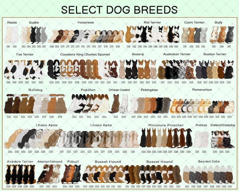 A digital chart titled SELECT DOG BREEDS displaying rows of illustrated dog backs in various colors and patterns. Each dog is labeled with a breed name and a unique identification code, showcasing a wide variety of canine types.