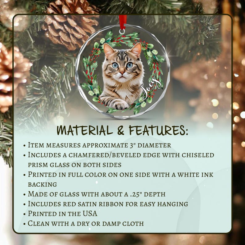 A circular glass ornament featuring a brown tabby cat centered within a green holiday wreath with red berries. The name Joey is printed in white script.