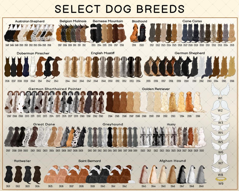 A digital chart titled SELECT DOG BREEDS displaying rows of illustrated dog backs in various colors and patterns, labeled with breed names like Australian Shepherd and German Shepherd.