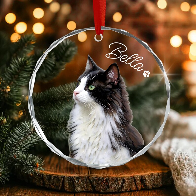 Cat Portrait Glass Pet Keepsake Ornament