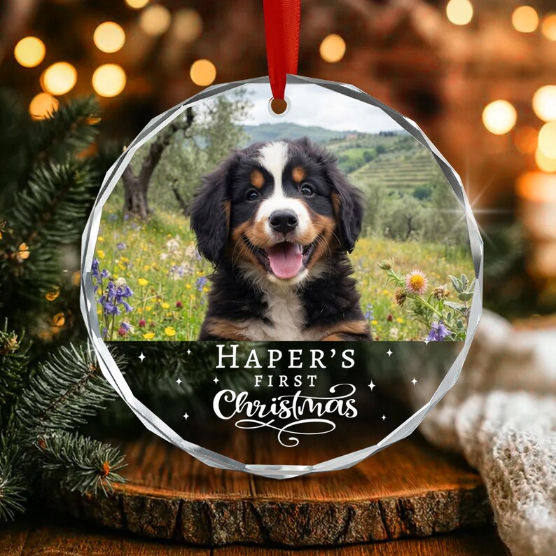 Dog's First Christmas Glass Ornament