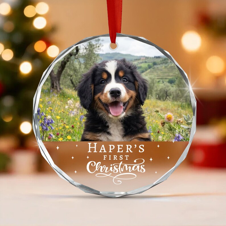 Dog's First Christmas Glass Ornament