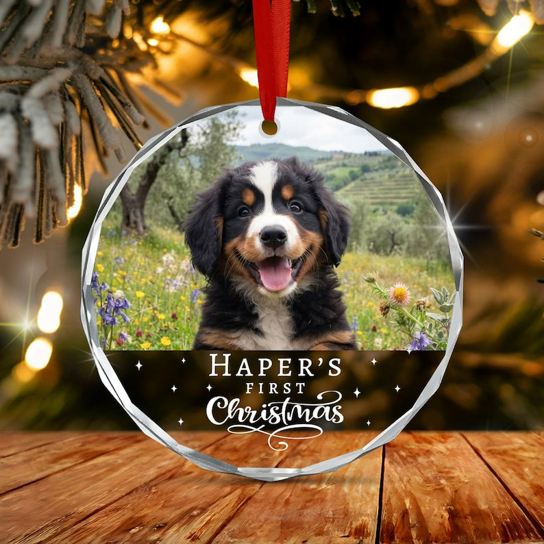Dog's First Christmas Glass Ornament