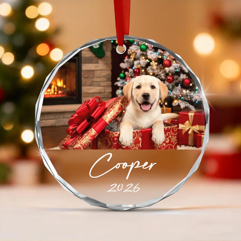 Pet Photo Glass Christmas Ornament 2026