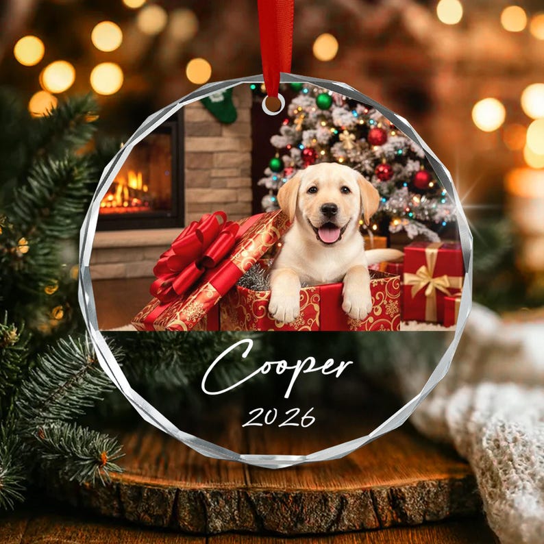 Pet Photo Glass Christmas Ornament 2026