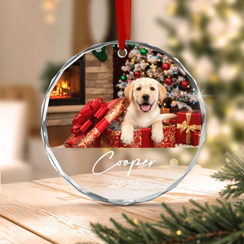 Pet Photo Glass Christmas Ornament 2026