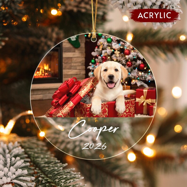 Pet Photo Glass Christmas Ornament 2026