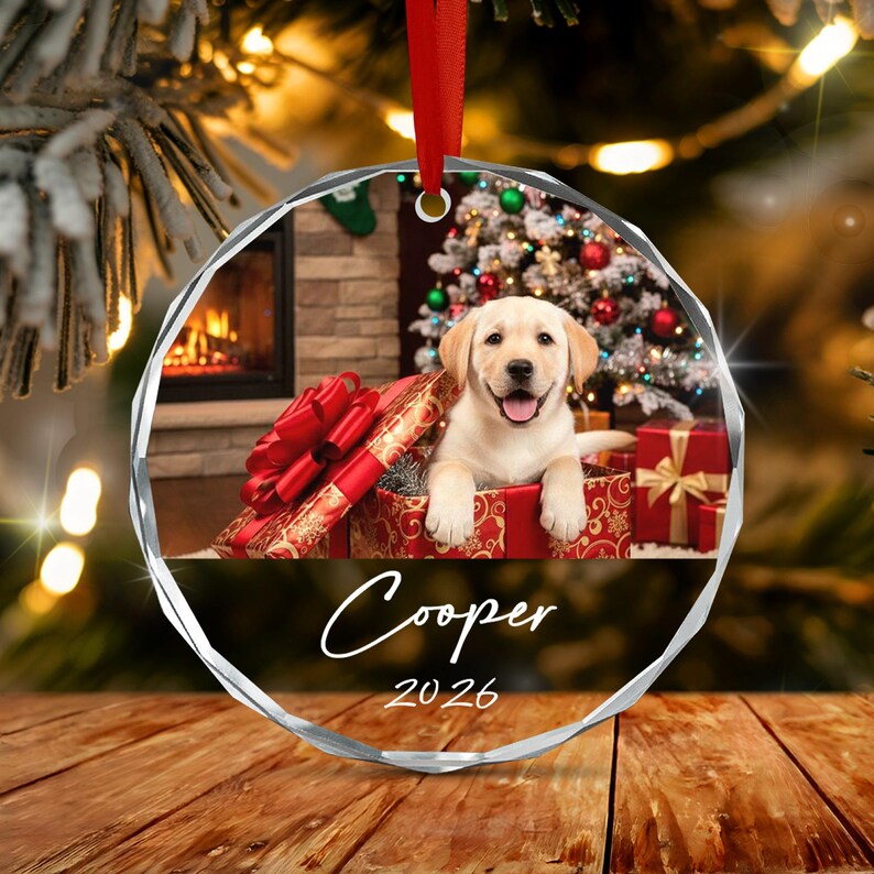 Pet Photo Glass Christmas Ornament 2026