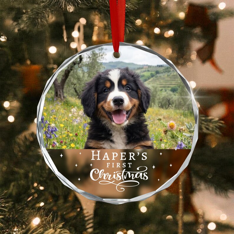 Dog's First Christmas Glass Ornament