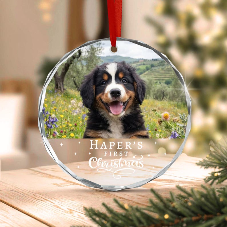 Dog's First Christmas Glass Ornament