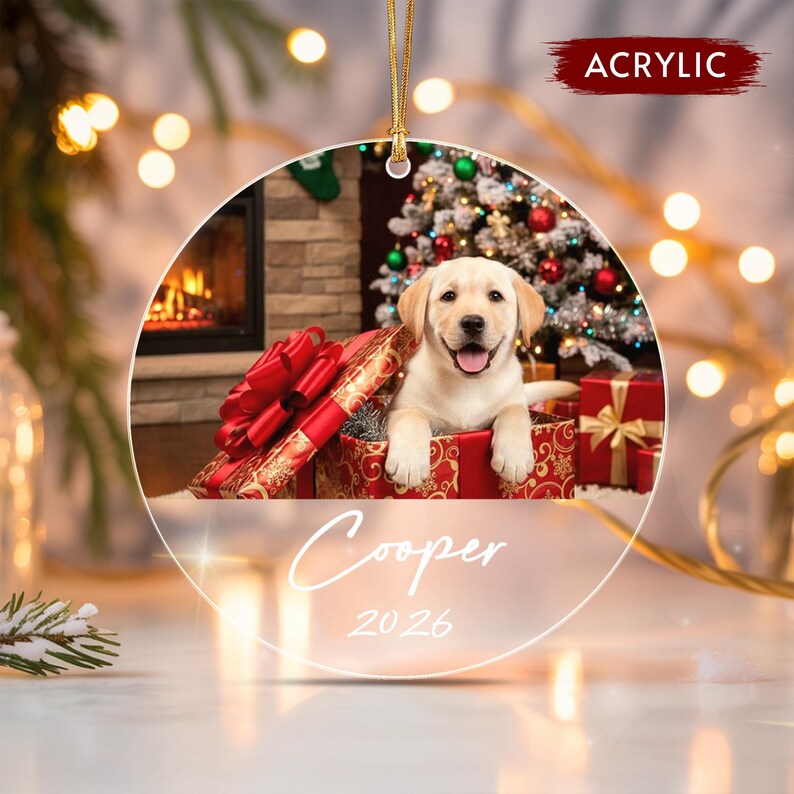 Pet Photo Glass Christmas Ornament 2026