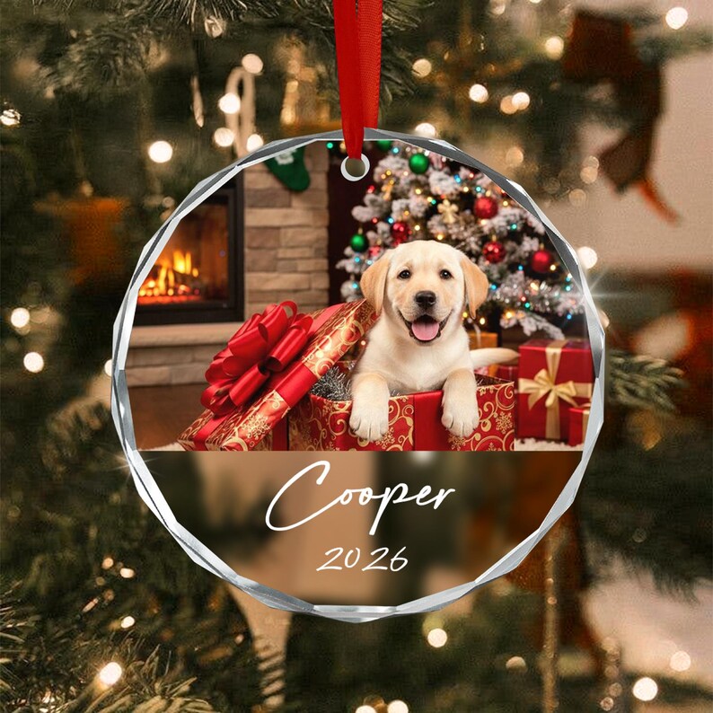 Pet Photo Glass Christmas Ornament 2026