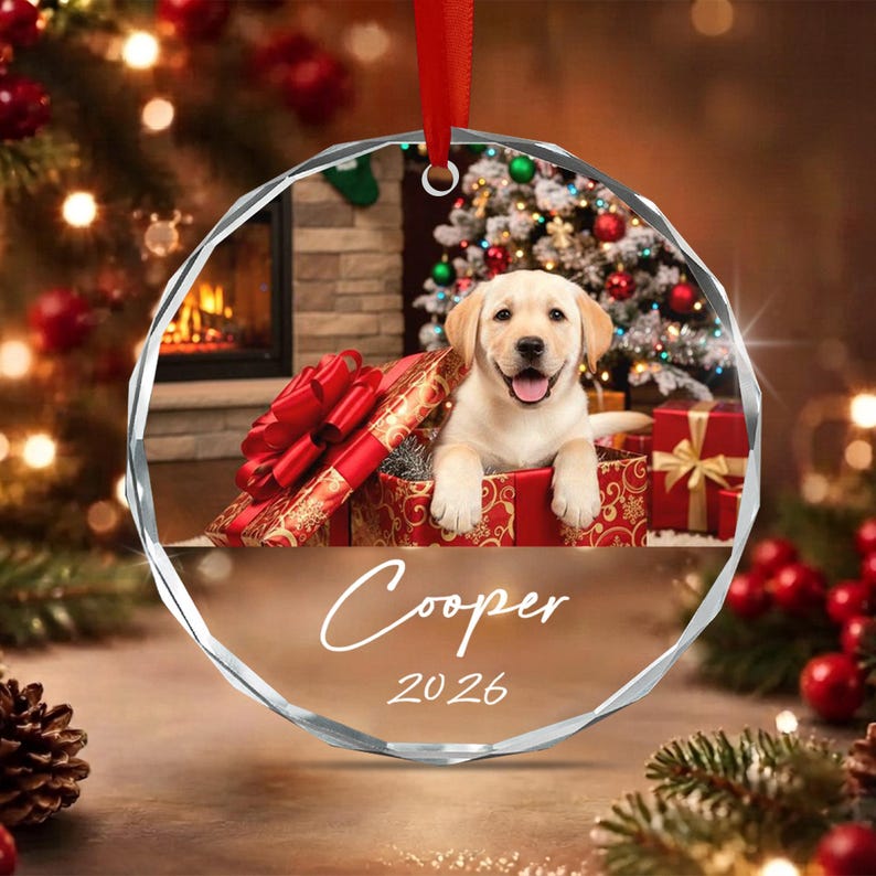 Pet Photo Glass Christmas Ornament 2026