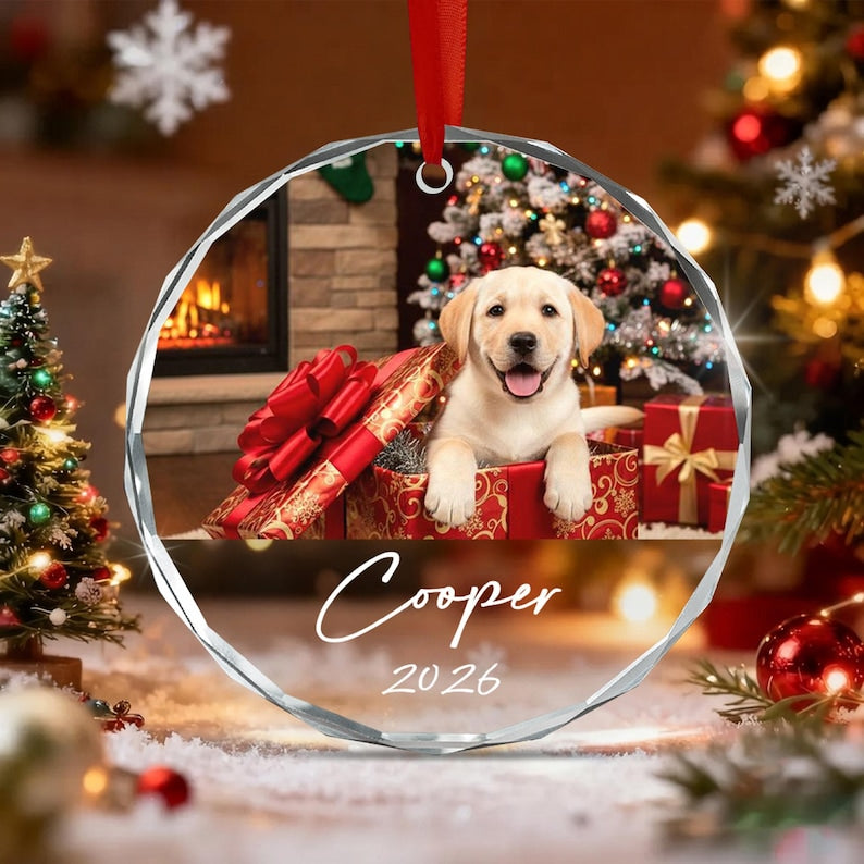 Pet Photo Glass Christmas Ornament 2026